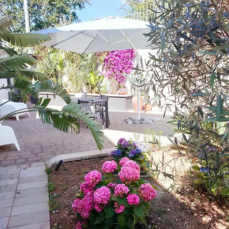 Collimare Vista Mare E Relax Alojamento de Acomodação e Pequeno-almoço *